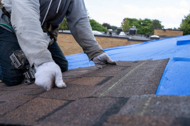 Professional Roofing Contractor in Capitol Heights, MD
