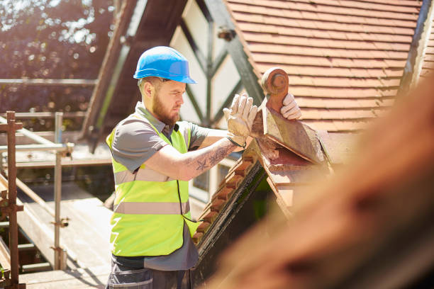 Best Gutter Installation and Roofing  in Capitol Heights, MD
